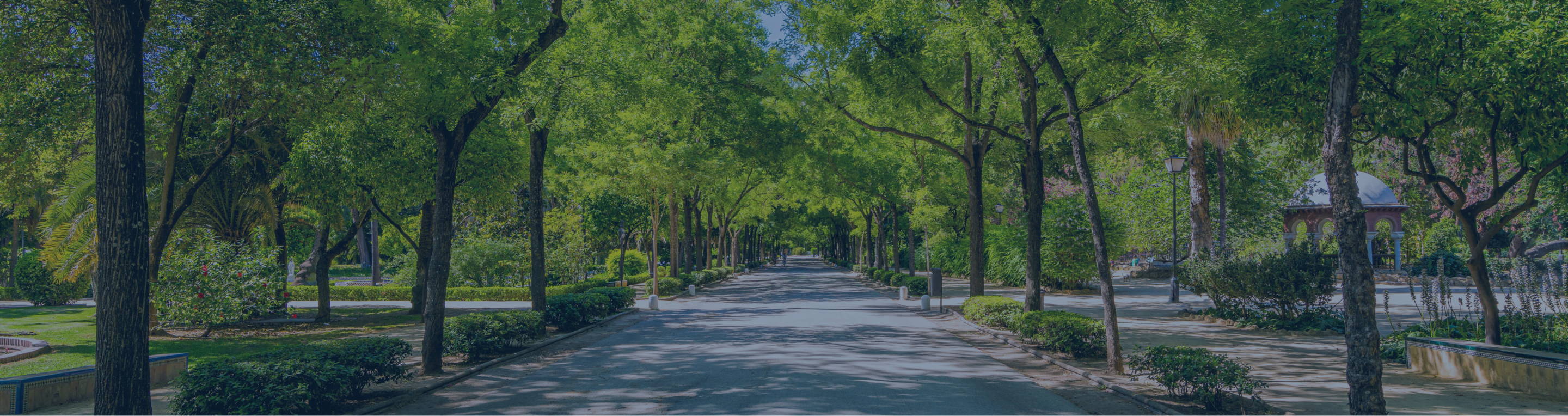 旺洲開發股份有限公司